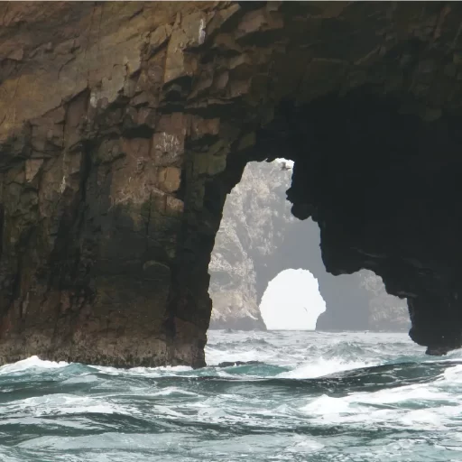 Islas Ballestas (1)