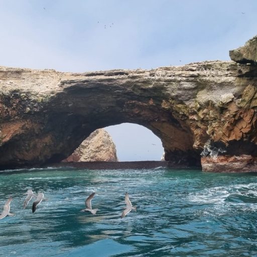 Islas Ballestas (1)