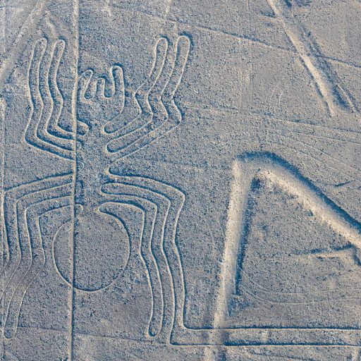 Lineas de Nazca (3)